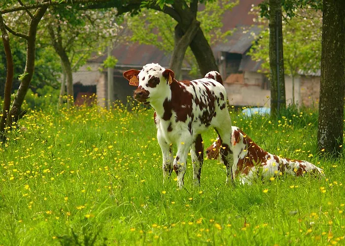 Logis Restaurant Le Dauphin Et Le Du Prieure Otel
